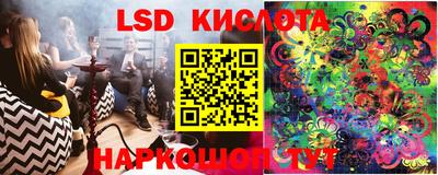 стафф Гудермес
