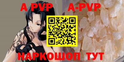 стафф Гудермес