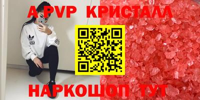 стафф Гудермес
